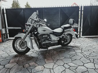SUZUKI INTRUDER C 800 / VL 800 - 2