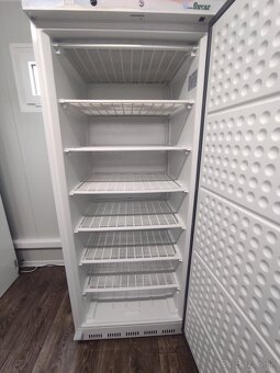 Gastro mraznička Forcar G-EF600 – 600 l - 2