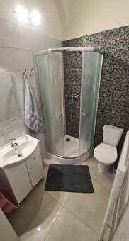 Prenájom 1,izb.apartmán v historickom centre Košíc - 2