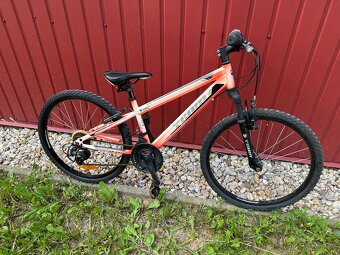 Bicykel detsky 24 TEAM - 2