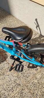 Bicykel Author Record 16 - 2