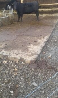 Panely silniční betonové tloustka 15cm - 2