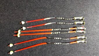 Rossignol a Leki - 2