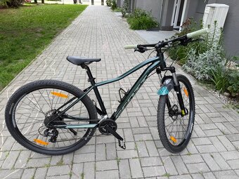 Scott Contessa 50 - 2