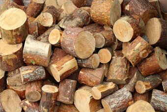 🌲 Čistenie pozemkov, výrub, mulčovanie – spoľahlivo SN, LE, - 2