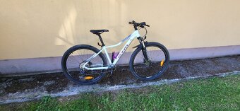 CTM Carisma 4.0 2023 - 2