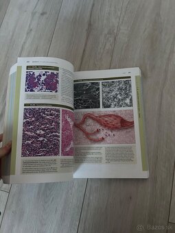 Janqueirove základy histológie - 2