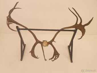 Parožie zo soba - 2