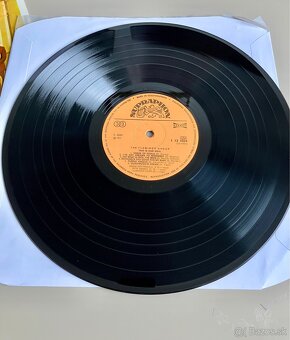 LP The Flamingo Group - This Is Our Soul - 2