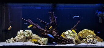 Predam akvarium Juwel RIO 240 bez stojanu - 2