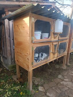 Králikareň/zajačnik - 2