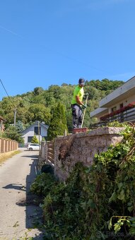 Kosenie záhrad, strihanie živých plotov... - 2
