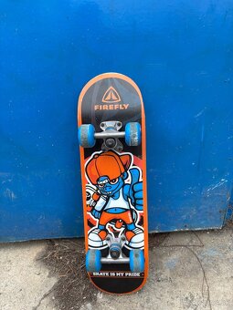 Skateboard - 2