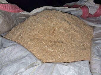 PILINY - 2