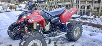 Polaris Predator 500 - 2