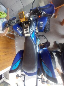 Bashan 250 - 2