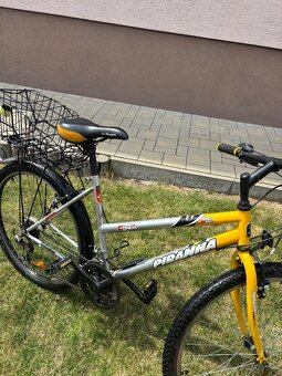 Damsky bicykel piranna - 2