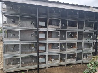 Hlinikové voliéry,klietky pre papagáje - 2