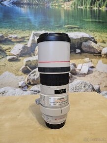 Canon EF 300mm f/4L IS USM - 2