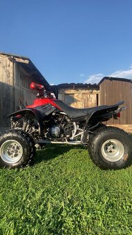 Yamaha Warrior 350ccm - 2