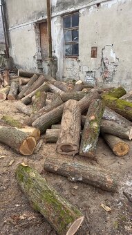 Palivové drevo metrovica dub buk cer - 2