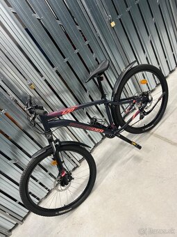 Damsky bicykel a Pansky bicykel - 2