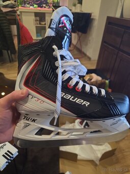 Bauer - 2