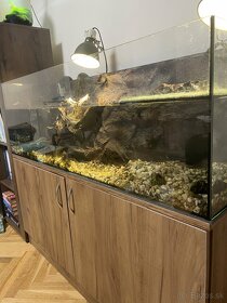 Vodné korytnačky s akváriom a filtrom - 2