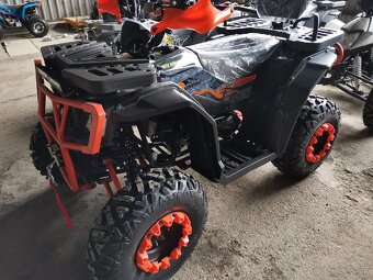 Ranger 300RR - 2