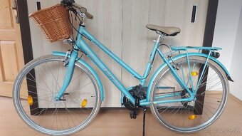 Damsky Pansky Trekking Adler 28" - 2