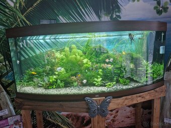 Prodej akvária Bratislava - 2