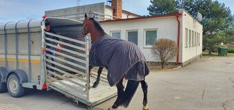 Preprava zvierat - 2