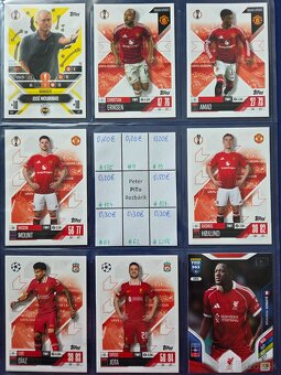 Fotbalove karticky TOPPS, Panini, cast 2/2 - 2
