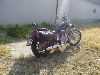 Savage LS 650 - 2