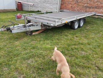 Sklopný autoprepravník  3500kg - 2