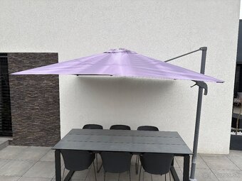 Slnecnik na terasu - 2