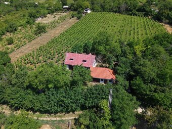 Chata s rozsiahlym pozemkom nad obcou Hrušov - 2