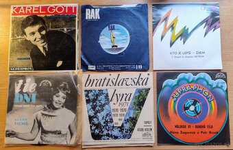LP platne slovenske aj zahraničné - 2