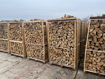 Palivové drevo BUK suché - 2