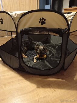 Ohrádka pre psa - 2