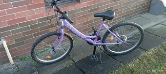 NEUZER CINDY-SHIMANO 24",(od 5 - do 15 rokov) - 2