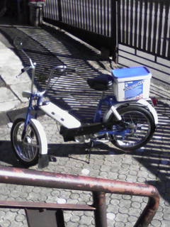 BABETTA 207 -300 - 2