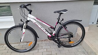 CTM TERRANO LADY - 2