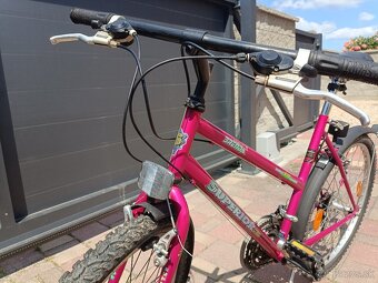 Dámsky bicykel - 2