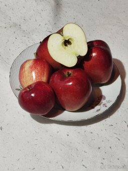 Oberané jablká - 2