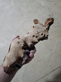 Terárium 90 x 45 x 60 cm - 2