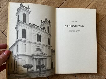 Prebúdzanie obra: román o živote biskupa Štefana Moysesa - 2