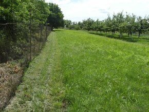 Predaj, stavebný pozemok, Mojzesovo - 2