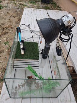 Akvárium pre korytnačky - 2