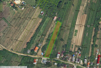 udržiavaná vinica 874m2 šikloš 11m šírka Bio záhrada pozemok - 2